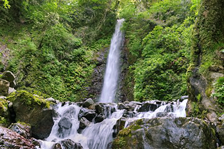 瀧岡(たきおか)先生