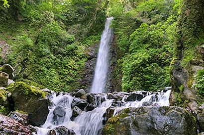 瀧岡先生